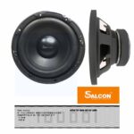 Salcon 8" Pro Audio Subwoofer (139)