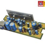 Salcon 4446 Double IC Car Audio Amp Module