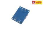 60W MONO AMP MODULE BACK