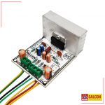Salcon 7294 Mono Amplifier (181)
