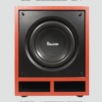 10" Basshead Subwoofer